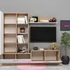 Alev Tv Ünitesi