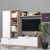 Alev Tv Ünitesi