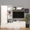 Alev Tv Ünitesi
