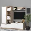 Alev Tv Ünitesi