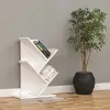 Ankaflex Kitaplık