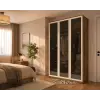 Camelia 3 Kapılı Reflekte Gardırop