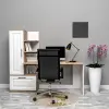 Cherry Membran Çalışma Masası