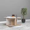 Hayal Orta Sehpa