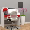 Hisar Çalışma Masası