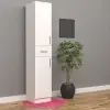 Home Çok Amaçlı Dolap