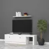 Karanfil Tv Ünitesi