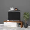 Karanfil Tv Ünitesi