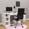 Minel Çalışma Masası