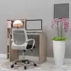 Moon Çalışma Masası