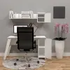 Okyanus Çalışma Masası
