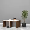 Sihirli Orta Sehpa