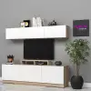 Sude Tv Ünitesi