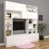 Well Tv Ünitesi