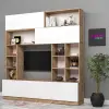 Well Tv Ünitesi