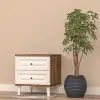 Wood Komodin