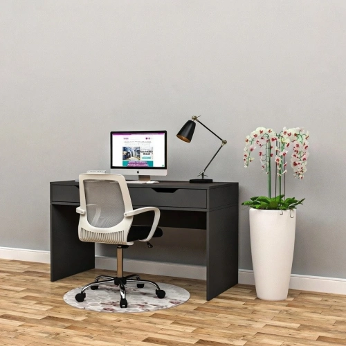 Bird Çalışma Masası