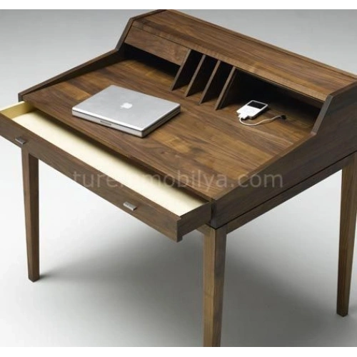 Doğal Ahşap Modern Çalışma Masası