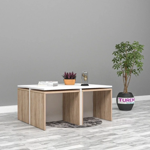 Sihirli Orta Sehpa Mdf