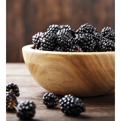 AHUDUDU TOZ EKSTRAKT