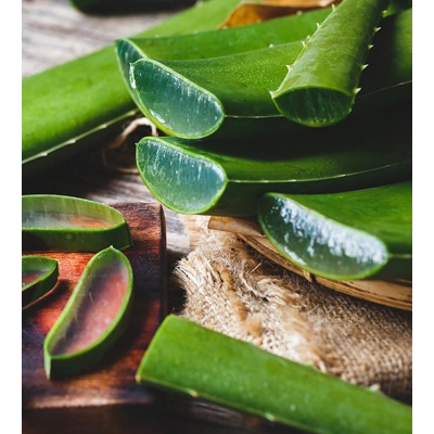 ALOEVERA TOZ EKSTRAKT