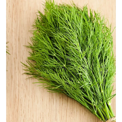 AT KUYRUĞU SIVI EKSTRAKT