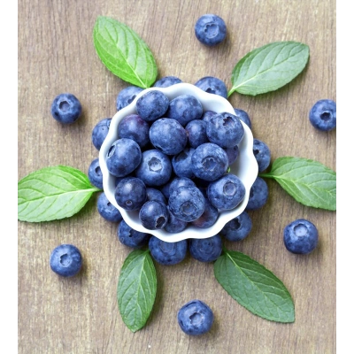 AYI ÜZÜMÜ SIVI EKSTRAKT