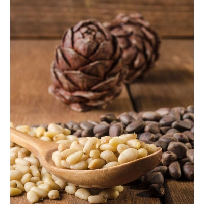 ÇAM FISTIĞI TOZ EKSTRAKT