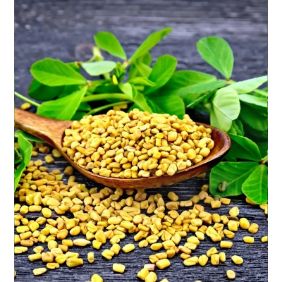 ÇEMENOTU SIVI EKSTRAKT