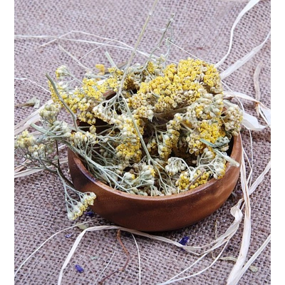 CİVAN PERÇEMİ TOZ EKSTRAKT