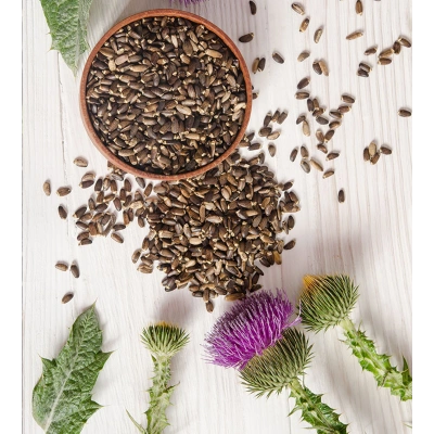 DEVE DİKENİ SIVI EKSTRAKT