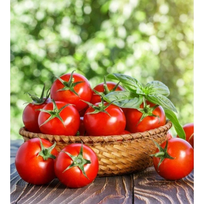 DOMATES TOZ EKSTRAKT