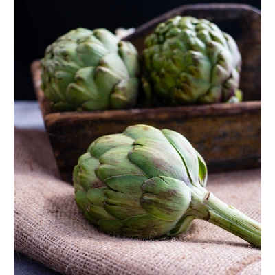 ENGİNAR TOZ EKSTRAKT