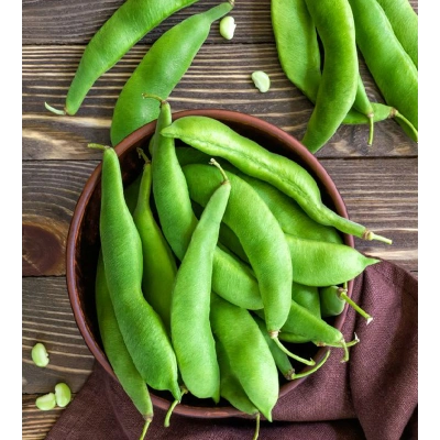 FASÜLYE TOZ EKSTRAKT