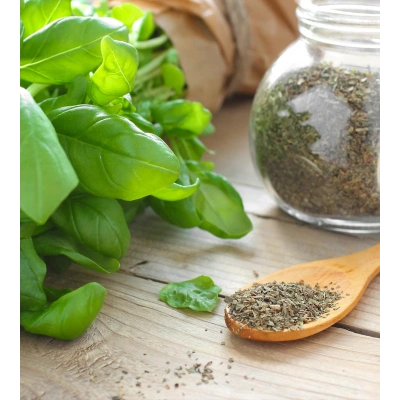 FESLEĞEN TOZ EKSTRAKT