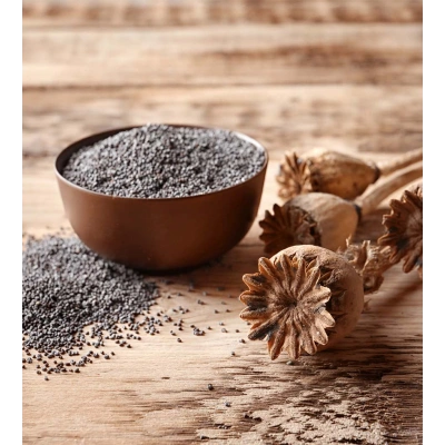 HAŞHAŞ TOZ EKSTRAKT