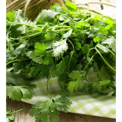 KİŞNİŞ TOZ EKSTRAKT