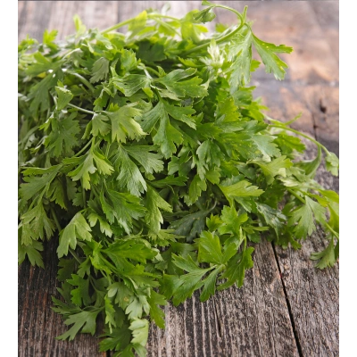 MAYDANOZ TOZ EKSTRAKT