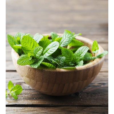 OĞULOTU (MELİSA) HİDROSOL