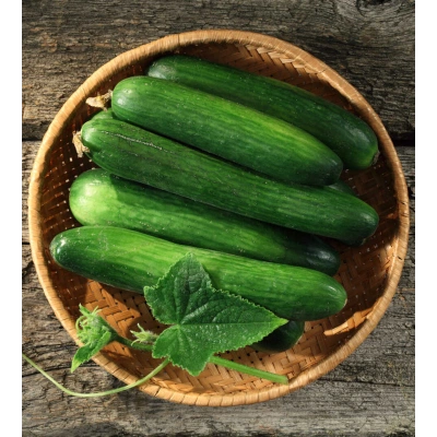 SALATALIK TOZ EKSTRAKT