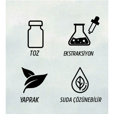 ŞEKER OTU TOZ EKSTRAKT