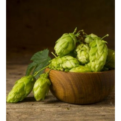 ŞERBETÇİ OTU TOZ EKSTRAKT