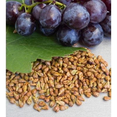 ÜZÜM ÇEKİRDEĞİ