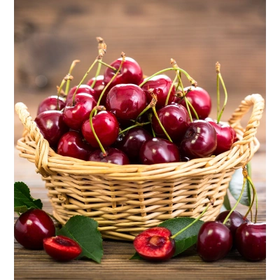 VİŞNE TOZ EKSTRAKT