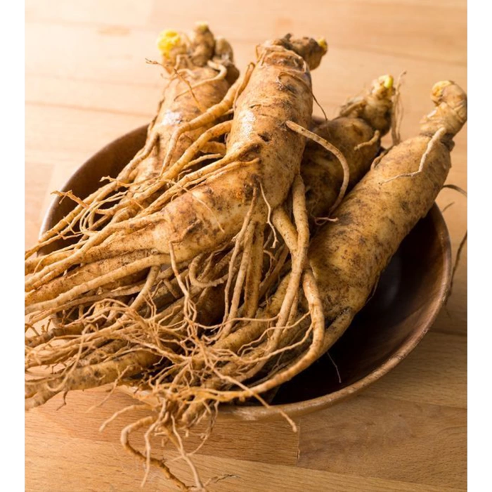 GINSENG SIVI EKSTRAKT