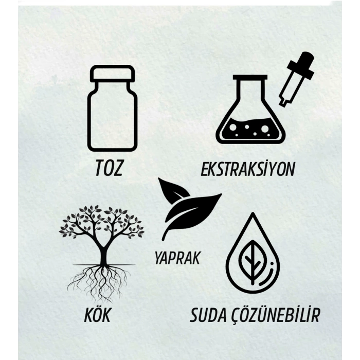 HAVLICAN TOZ EKSTRAKT