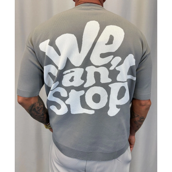 İpek Triko We Cant T-Shirt Gri