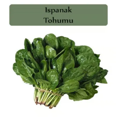 AGROKAR MATADOR ISPANAK 25 GR