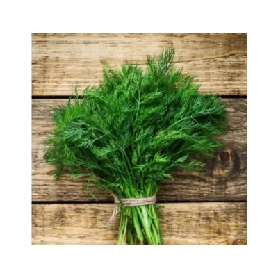 Agrokar Dereotu Tohumu 10GR 5 Paket