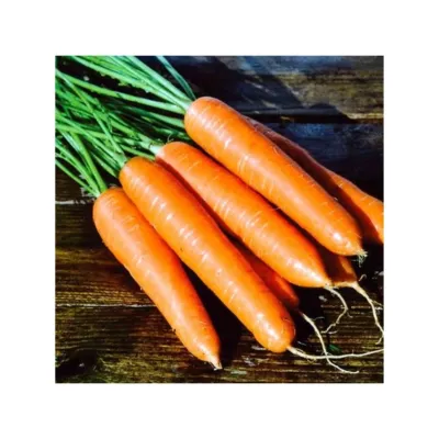 Agrokar Nantes Havuç Tohumu 10 Gr